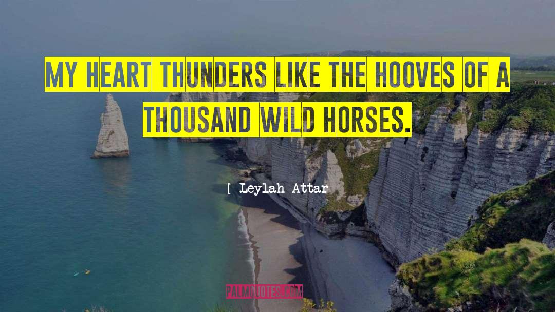 Leylah Attar Quotes: My heart thunders like the