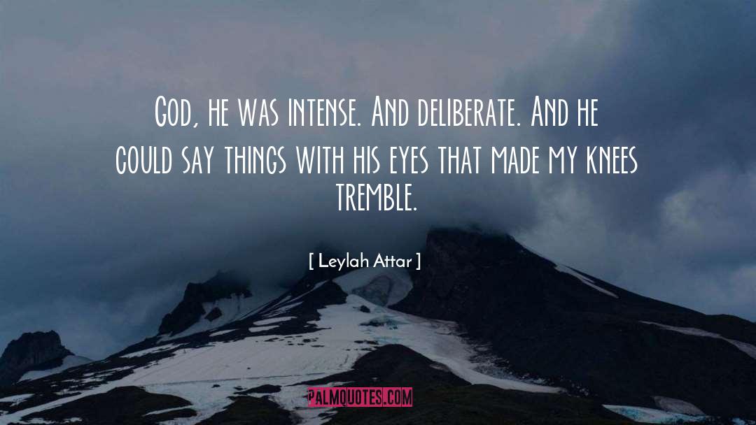 Leylah Attar Quotes: God, he was intense. And