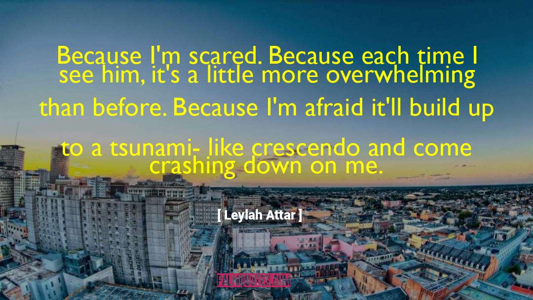 Leylah Attar Quotes: Because I'm scared. Because each