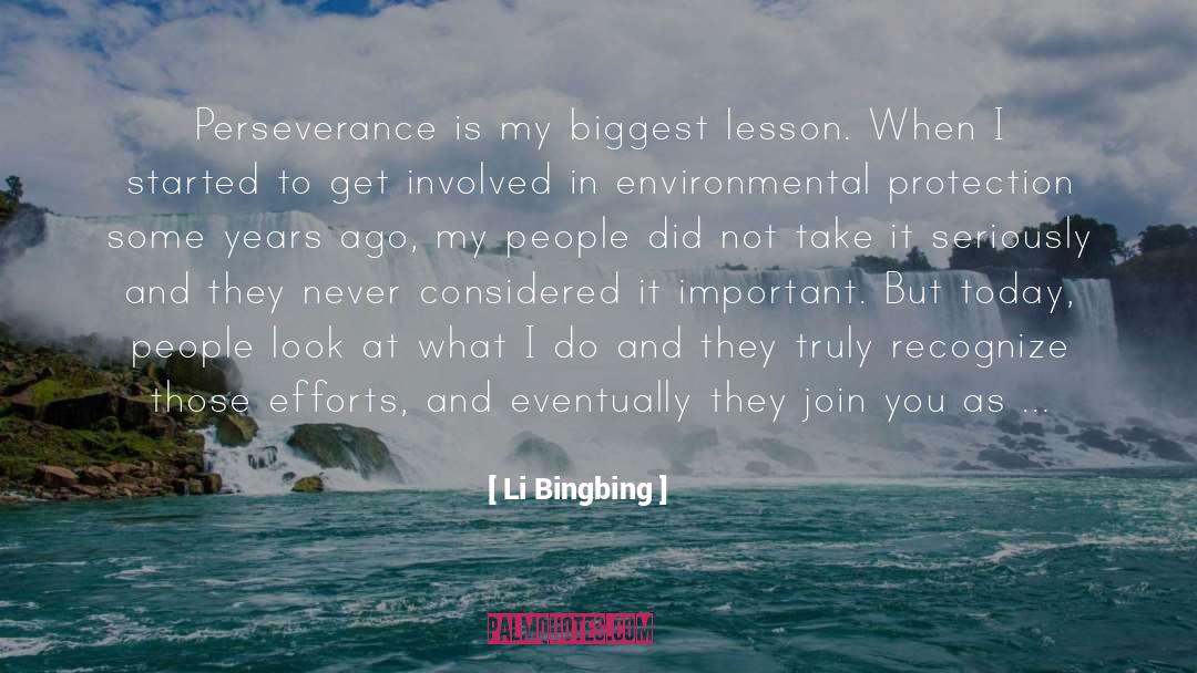 Li Bingbing Quotes: Perseverance is my biggest lesson.