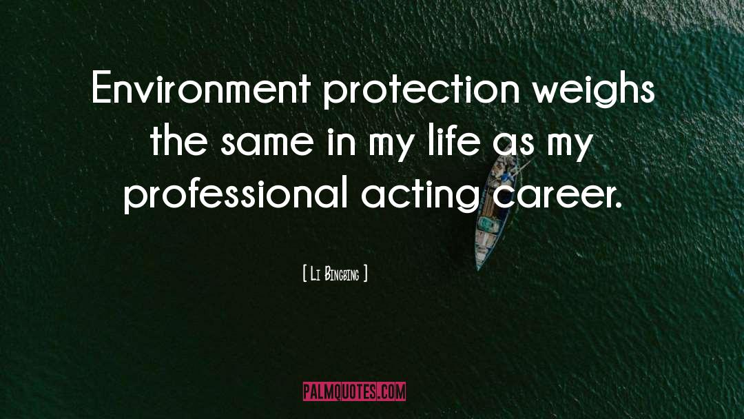 Li Bingbing Quotes: Environment protection weighs the same