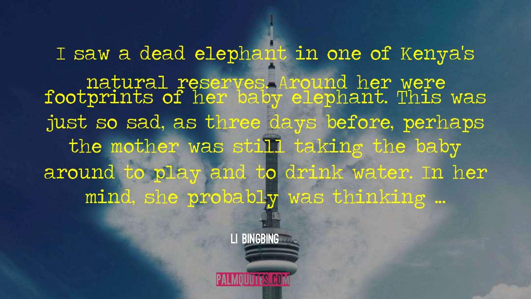 Li Bingbing Quotes: I saw a dead elephant