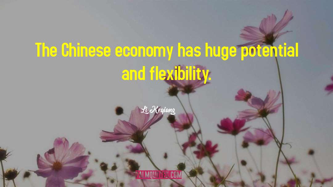 Li Keqiang Quotes: The Chinese economy has huge