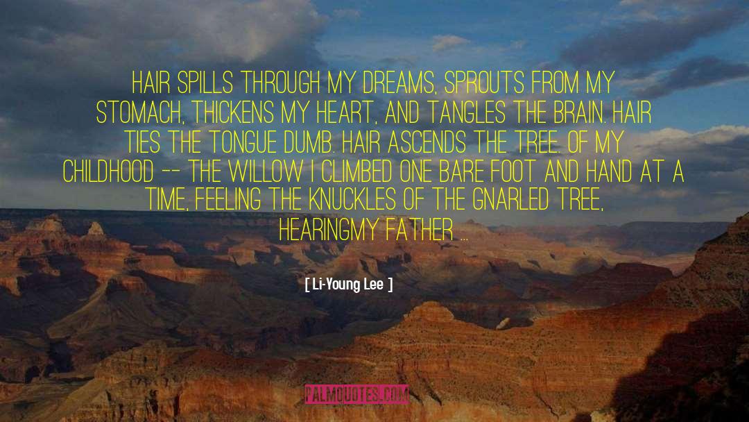 Li-Young Lee Quotes: Hair spills <br />through my