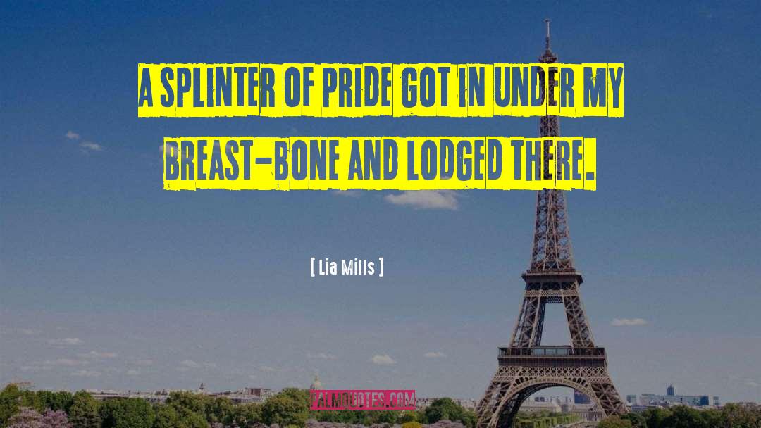 Lia Mills Quotes: A splinter of pride got