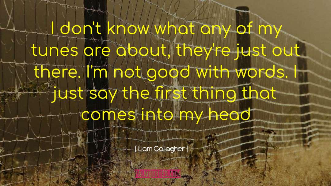 Liam Gallagher Quotes: I don't know what any