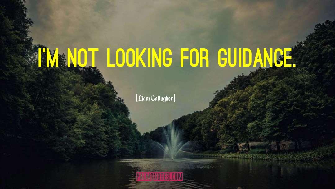 Liam Gallagher Quotes: I'm not looking for guidance.