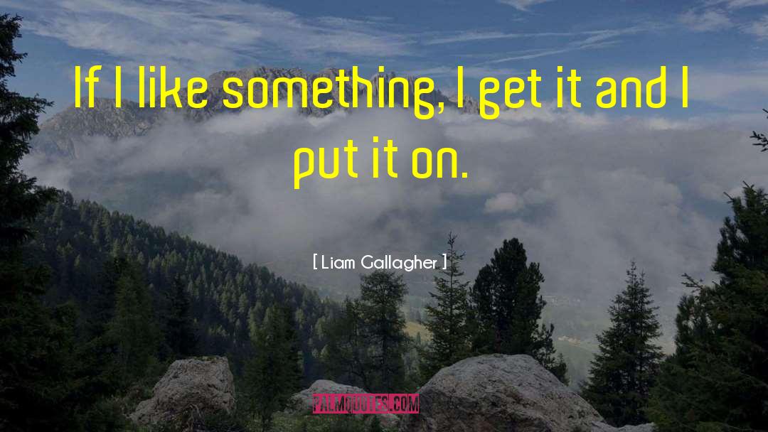 Liam Gallagher Quotes: If I like something, I