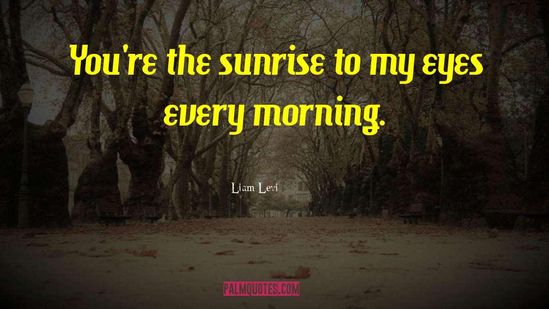 Liam Levi Quotes: You're the sunrise to my