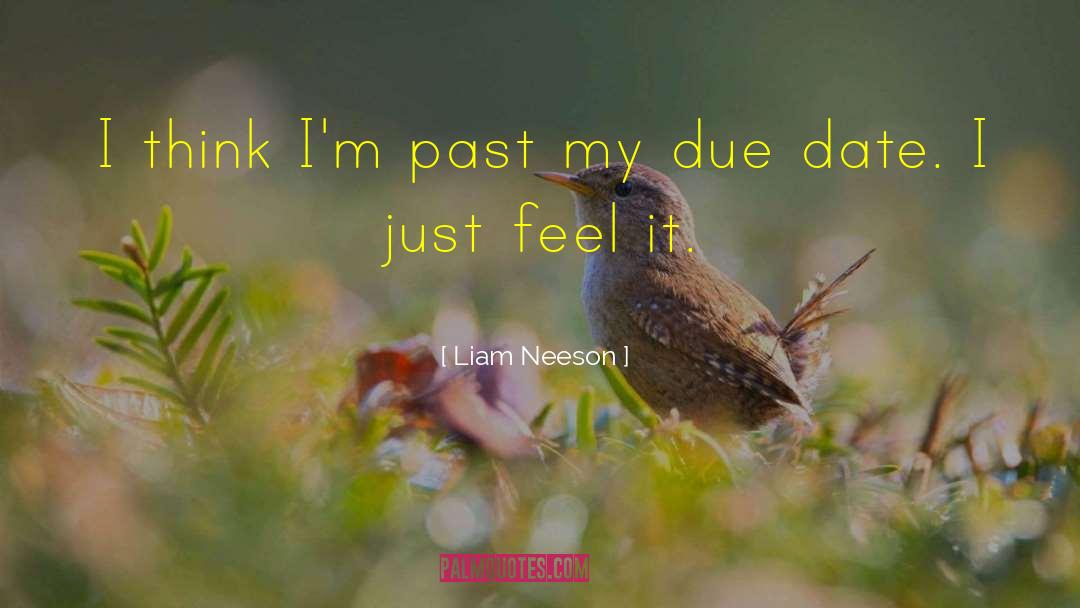 Liam Neeson Quotes: I think I'm past my