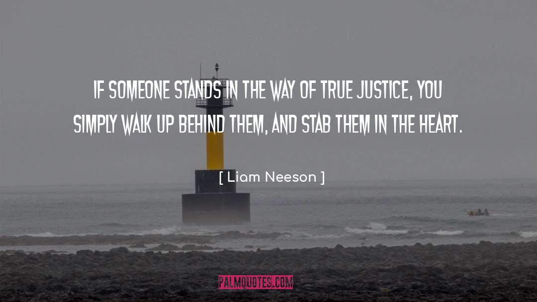 Liam Neeson Quotes: If someone stands in the