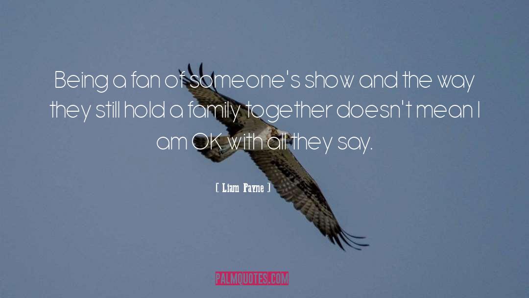 Liam Payne Quotes: Being a fan of someone's
