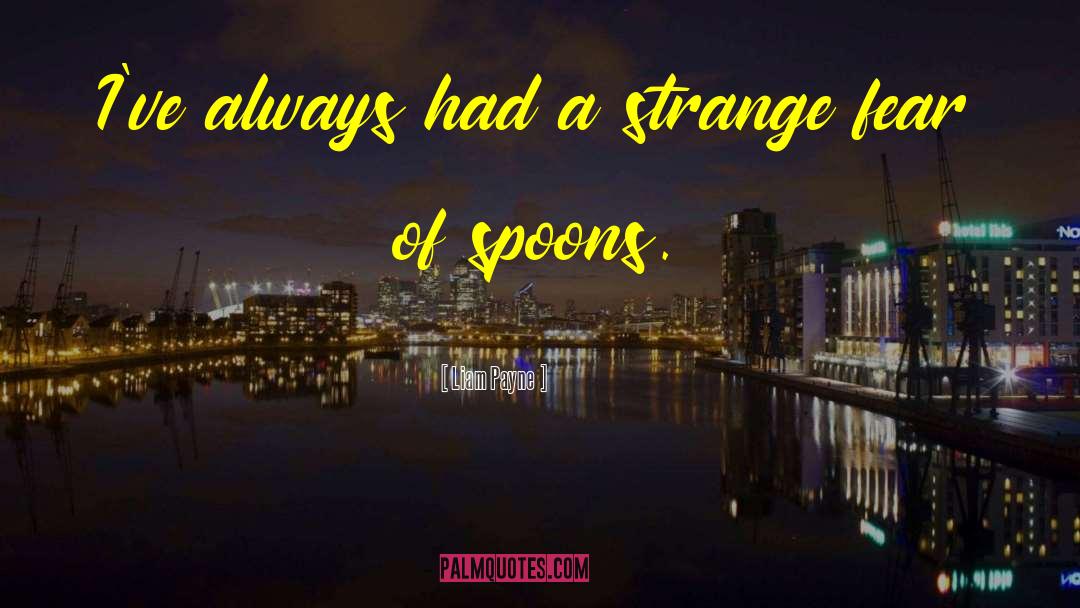 Liam Payne Quotes: I've always had a strange