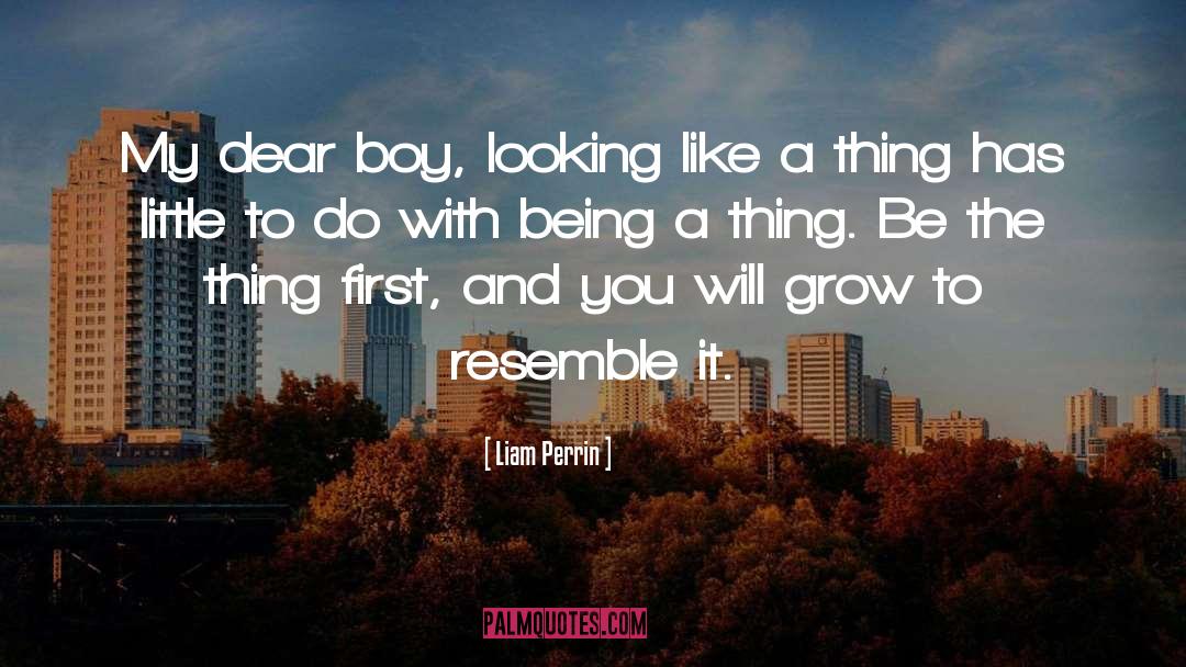 Liam Perrin Quotes: My dear boy, looking like