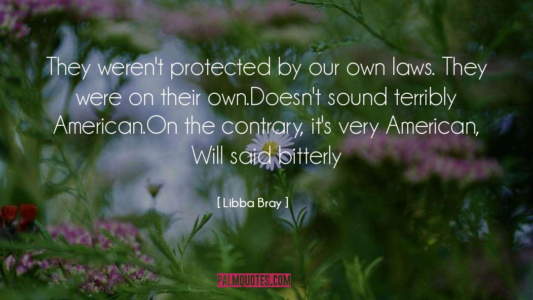 Libba Bray Quotes: They weren't protected by our