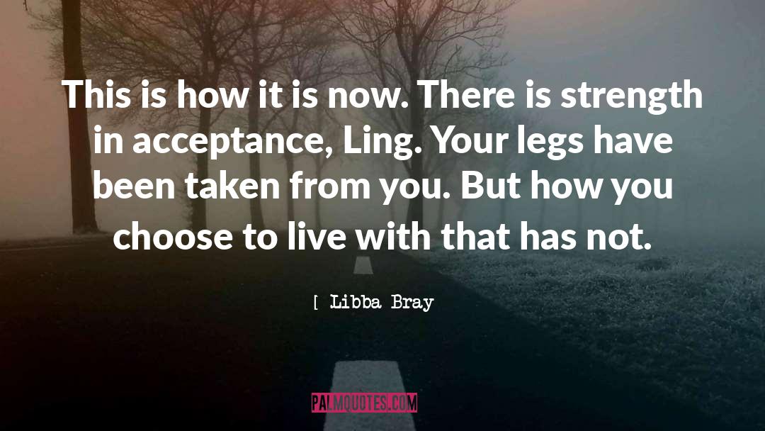 Libba Bray Quotes: This is how it is