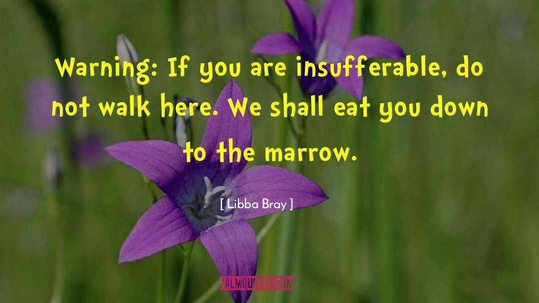 Libba Bray Quotes: Warning: If you are insufferable,