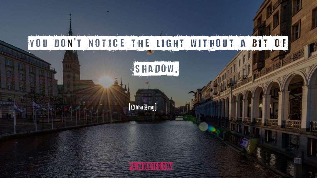 Libba Bray Quotes: You don't notice the light