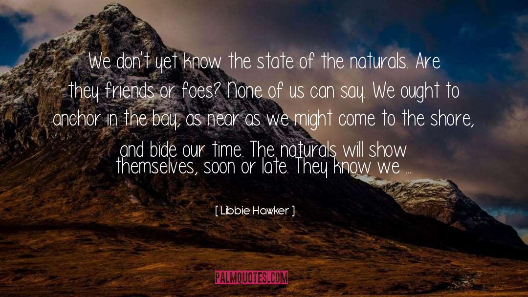 Libbie Hawker Quotes: We don't yet know the