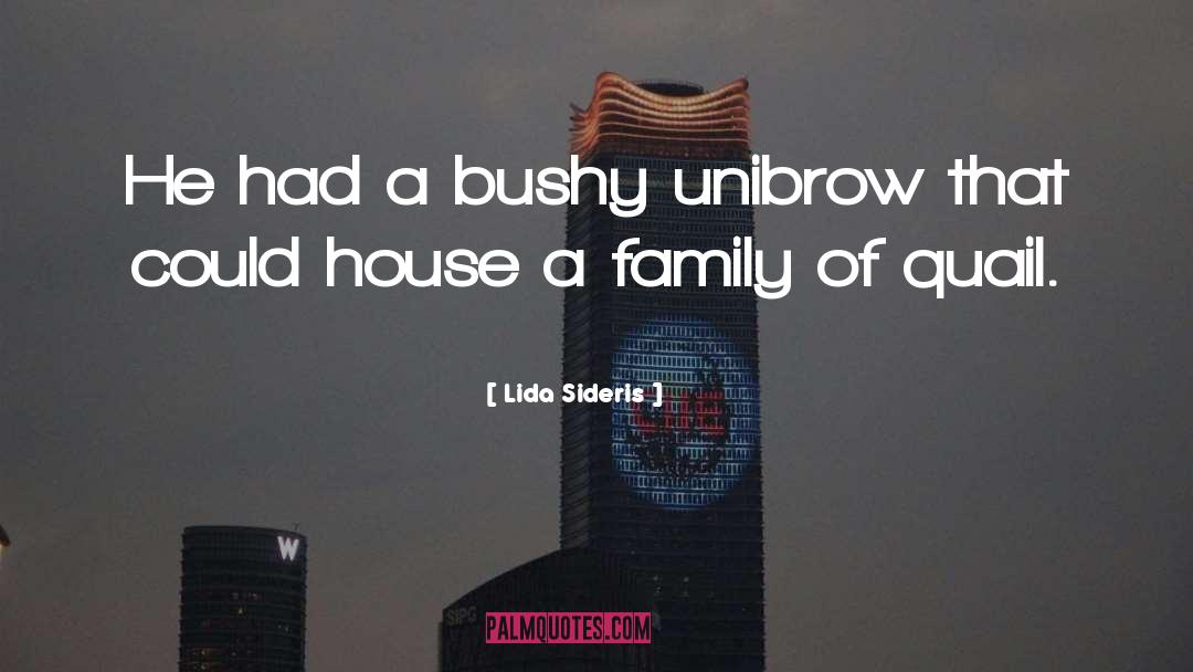 Lida Sideris Quotes: He had a bushy unibrow