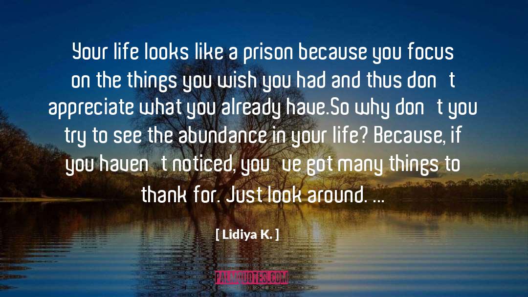 Lidiya K. Quotes: Your life looks like a