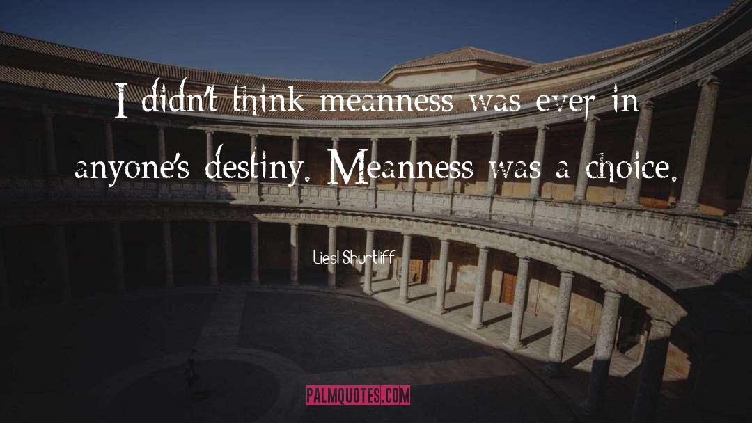 Liesl Shurtliff Quotes: I didn't think meanness was