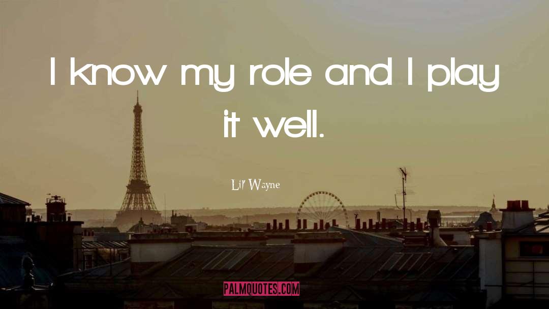 Lil' Wayne Quotes: I know my role and