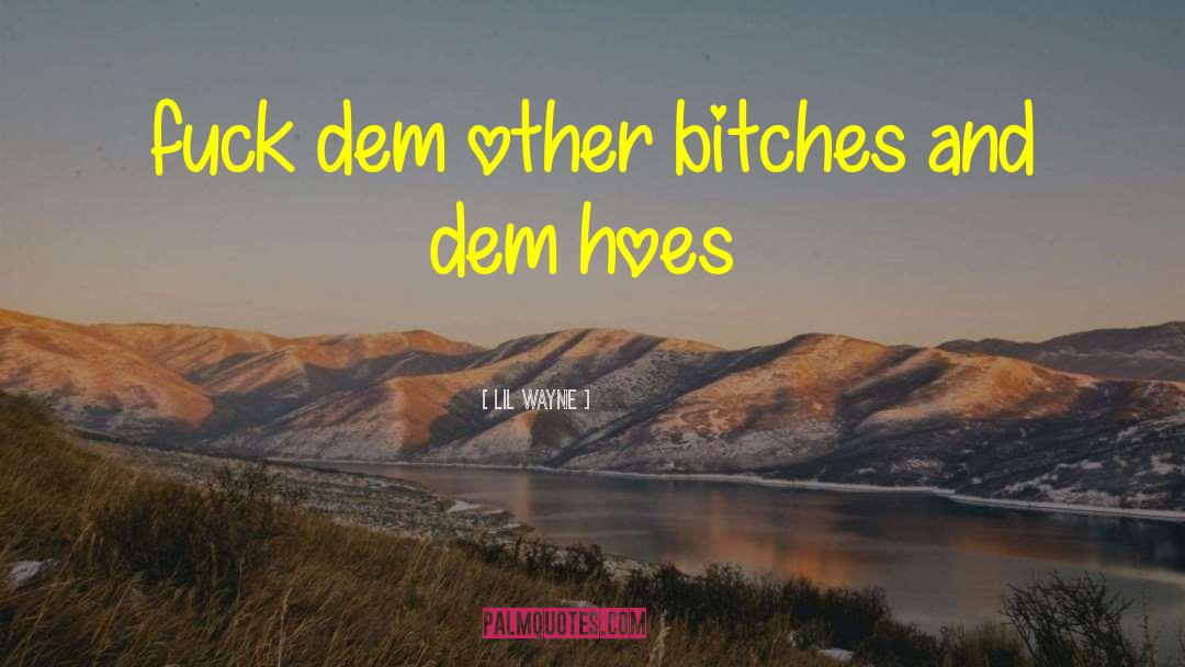 Lil' Wayne Quotes: fuck dem other bitches and