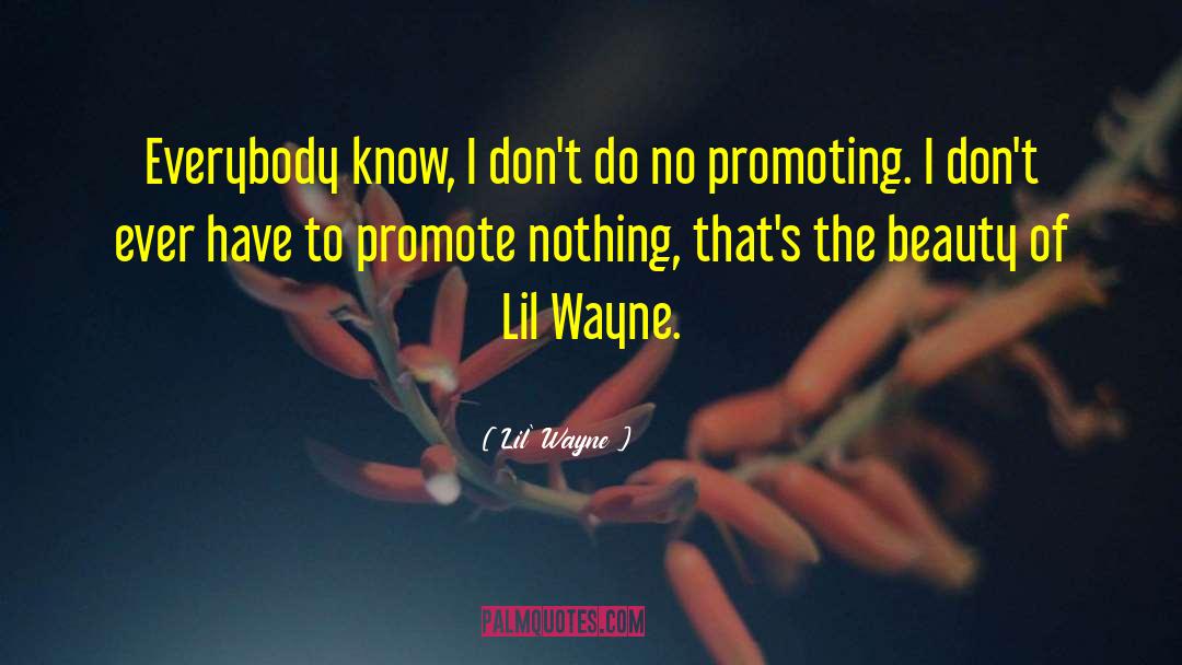 Lil' Wayne Quotes: Everybody know, I don't do