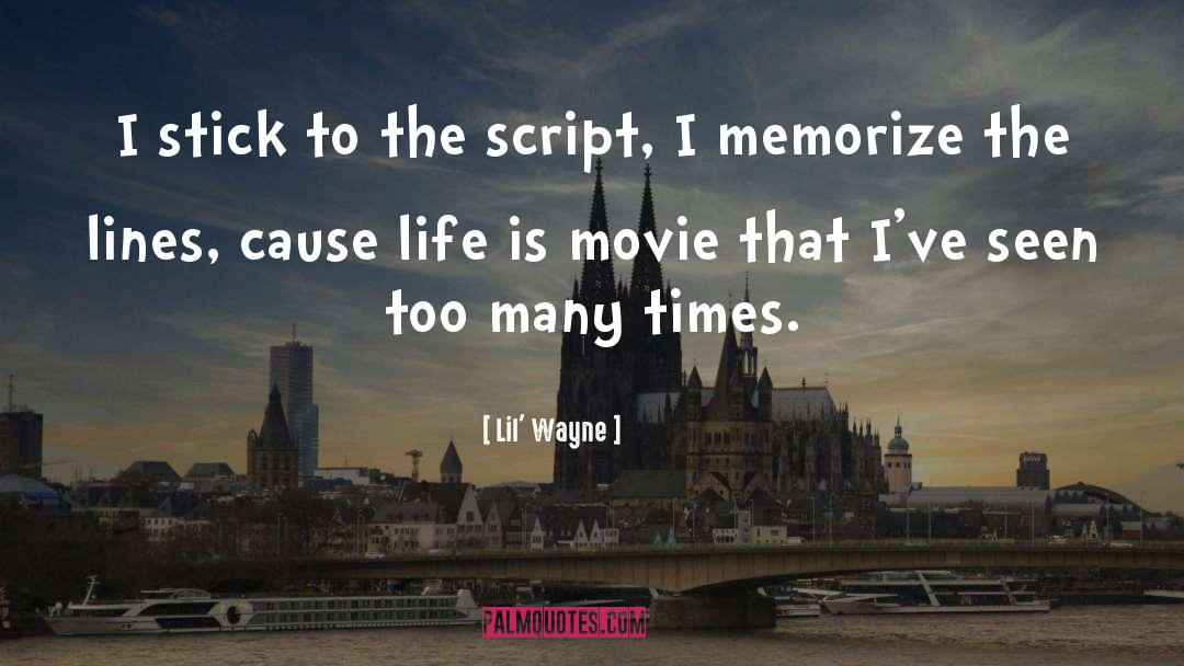Lil' Wayne Quotes: I stick to the script,