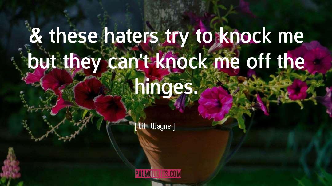 Lil' Wayne Quotes: & these haters try to