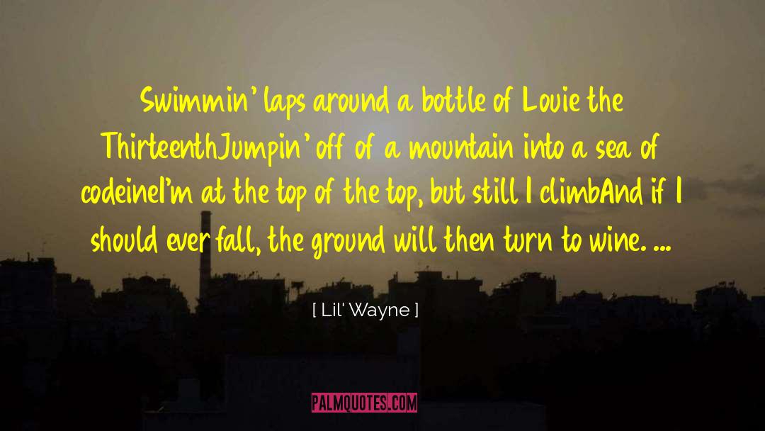 Lil' Wayne Quotes: Swimmin' laps around a bottle