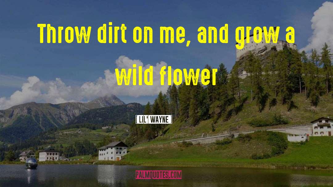 Lil' Wayne Quotes: Throw dirt on me, and