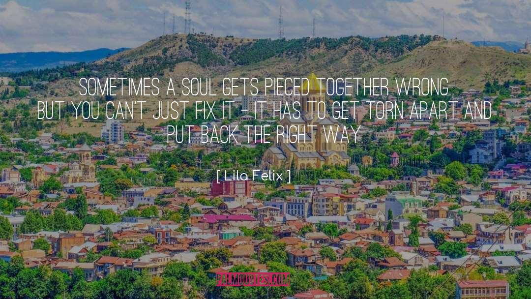 Lila Felix Quotes: Sometimes a soul gets pieced