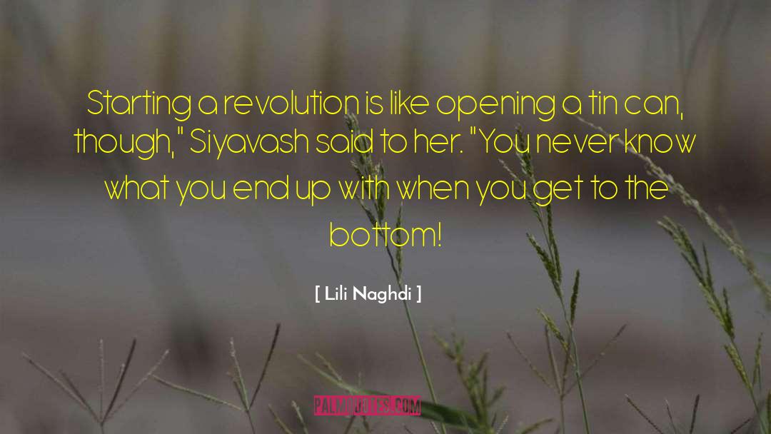 Lili Naghdi Quotes: Starting a revolution is like