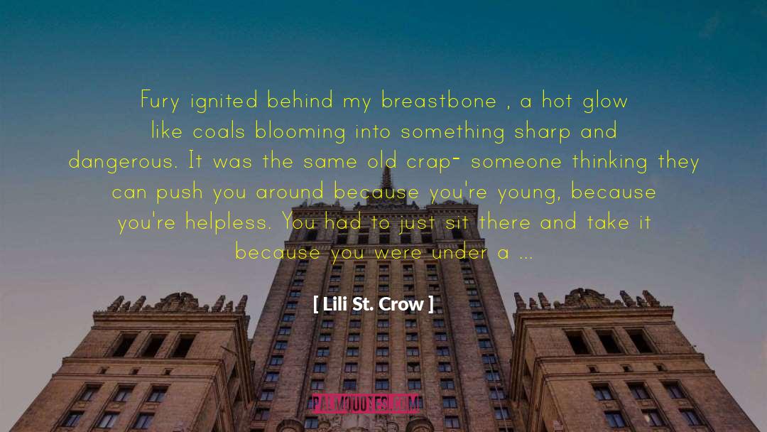 Lili St. Crow Quotes: Fury ignited behind my breastbone