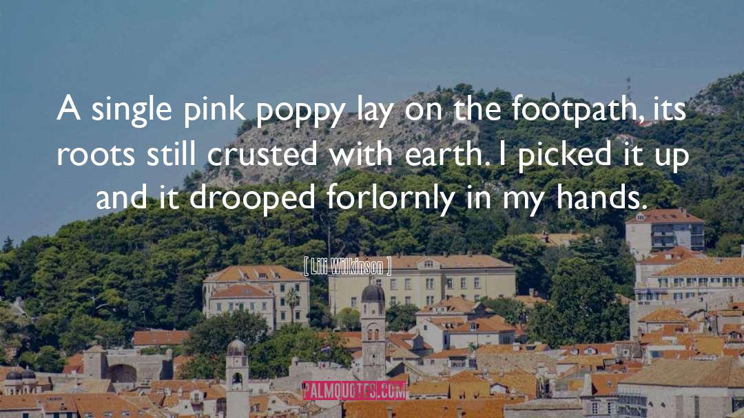 Lili Wilkinson Quotes: A single pink poppy lay