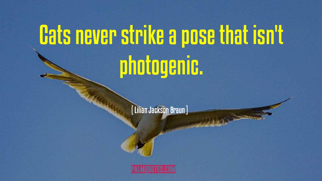 Lilian Jackson Braun Quotes: Cats never strike a pose