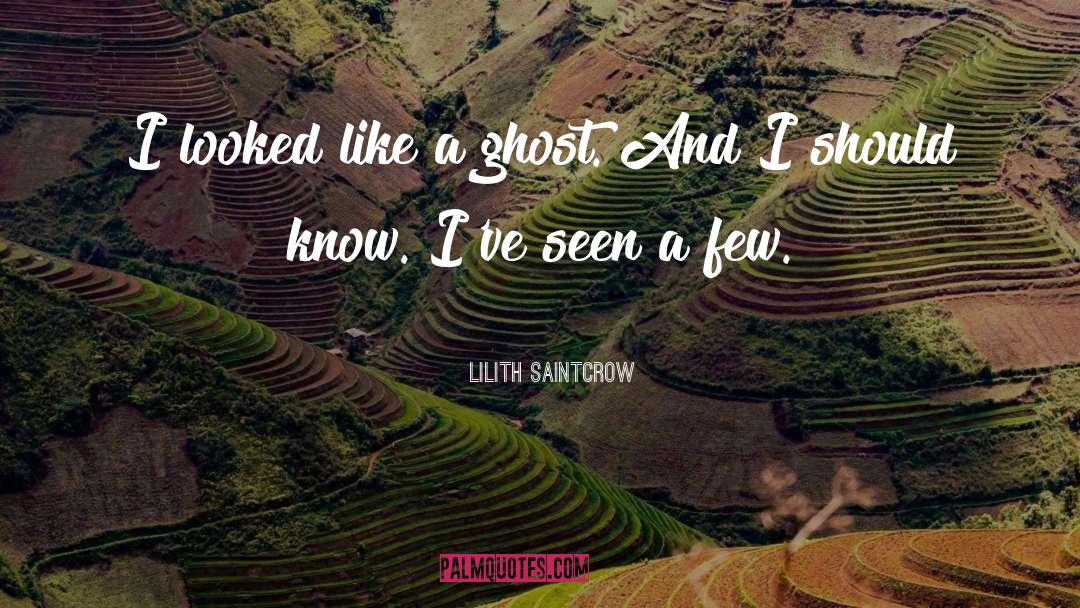 Lilith Saintcrow Quotes: I looked like a ghost.