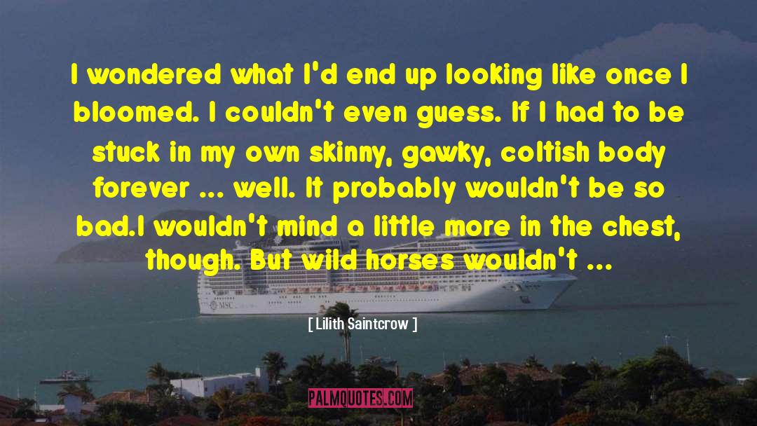 Lilith Saintcrow Quotes: I wondered what I'd end