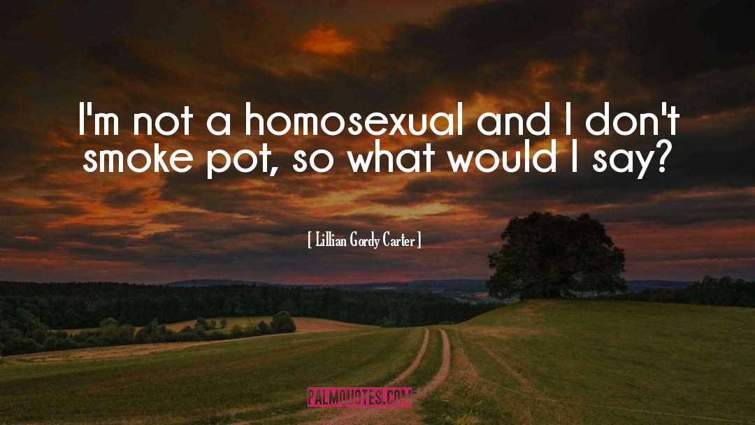 Lillian Gordy Carter Quotes: I'm not a homosexual and