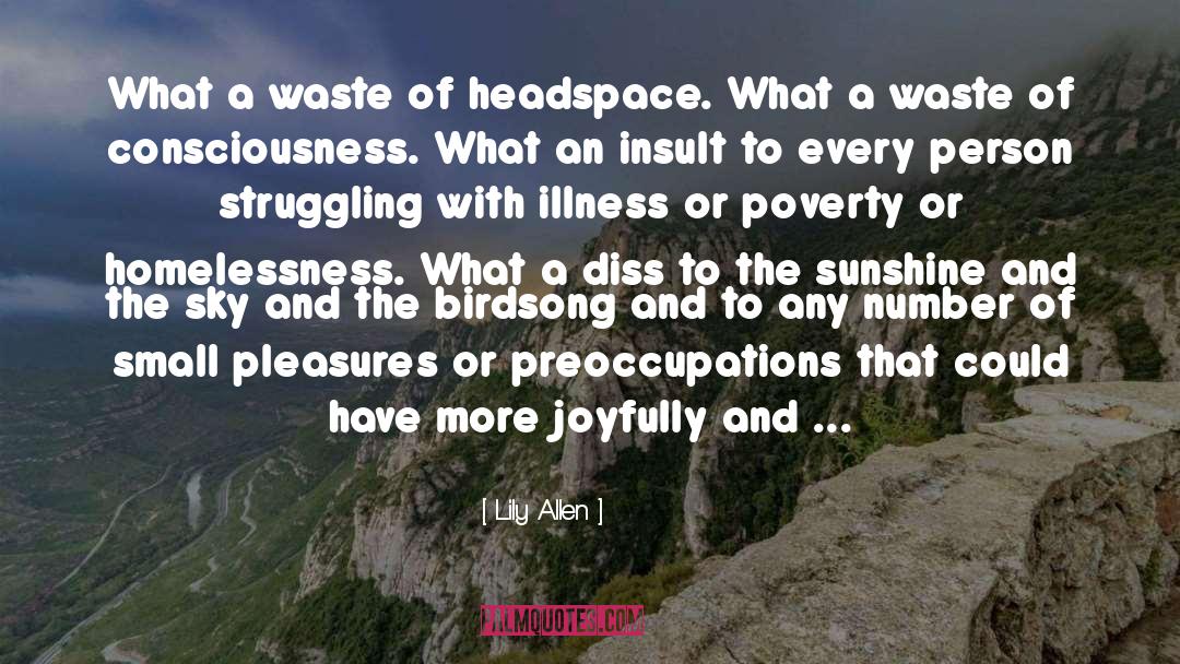 Lily Allen Quotes: What a waste of headspace.