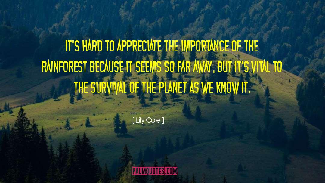 Lily Cole Quotes: It's hard to appreciate the