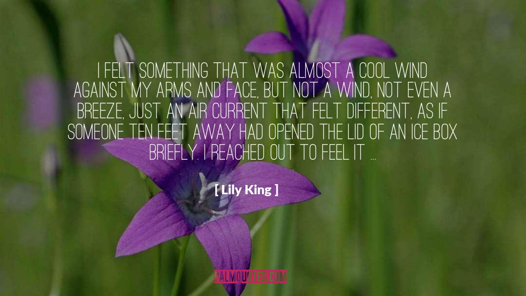 Lily King Quotes: I felt something that was