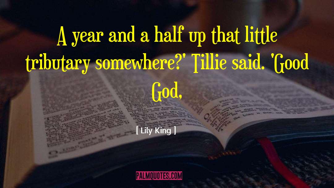 Lily King Quotes: A year and a half