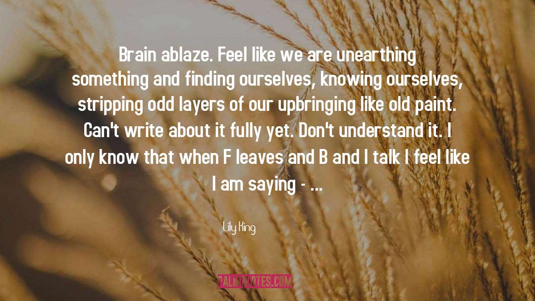 Lily King Quotes: Brain ablaze. Feel like we