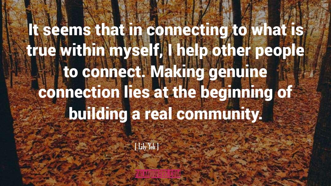 Lily Yeh Quotes: It seems that in connecting