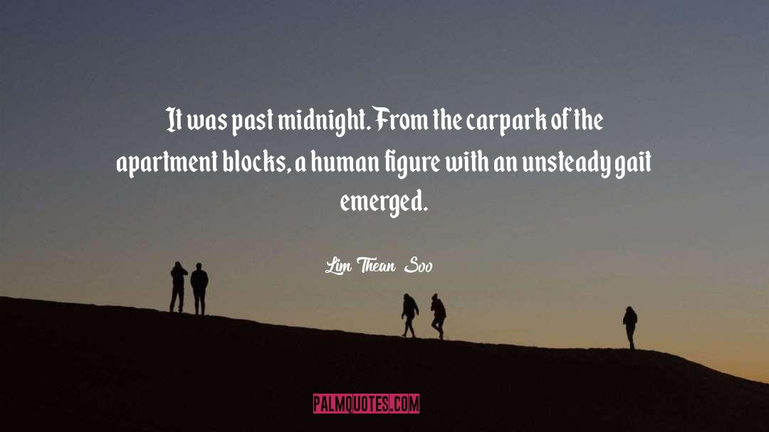 Lim Thean Soo Quotes: It was past midnight. From