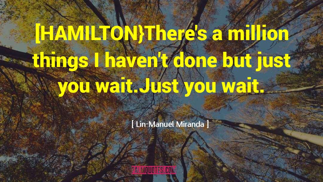 Lin-Manuel Miranda Quotes: [HAMILTON}<br />There's a million things