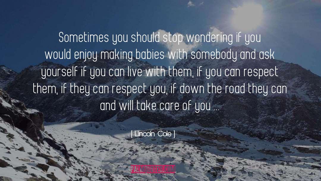 Lincoln Cole Quotes: Sometimes you should stop wondering